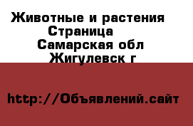  Животные и растения - Страница 10 . Самарская обл.,Жигулевск г.